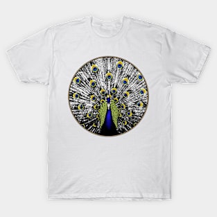 Peacock in a circle T-Shirt